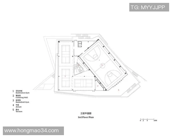 南京攀岩队的运营成败分析与未来发展方向探讨
