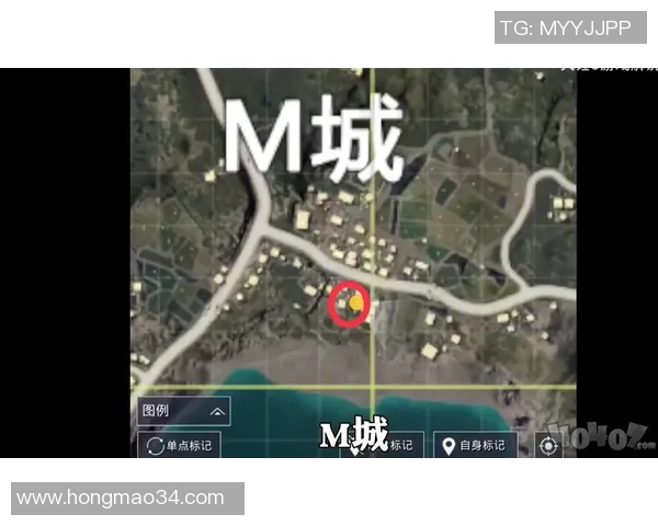 和平精英巨献：深入探讨LNG现状与未来发展趋势