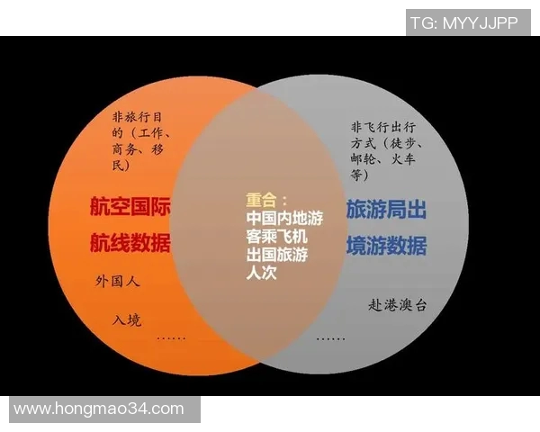 广州排球队实力分析与数据解读：揭示球队表现的关键因素与趋势