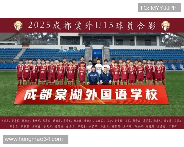 成都足球队意识争议引发热议球迷与专家各执己见探讨未来发展方向