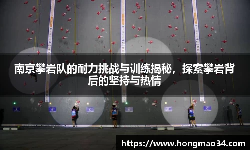 南京攀岩队的耐力挑战与训练揭秘，探索攀岩背后的坚持与热情